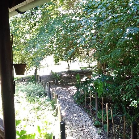 Andelomi Nature'S Rest Stormsrivier Εξωτερικό φωτογραφία
