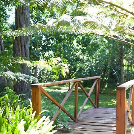 Andelomi Nature'S Rest Stormsrivier Εξωτερικό φωτογραφία