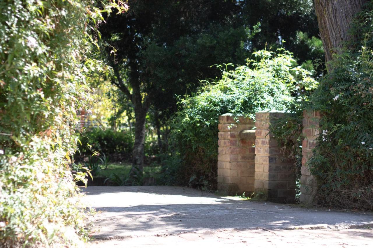 Andelomi Nature'S Rest Stormsrivier Εξωτερικό φωτογραφία
