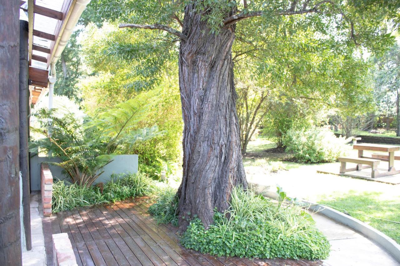 Andelomi Nature'S Rest Stormsrivier Εξωτερικό φωτογραφία