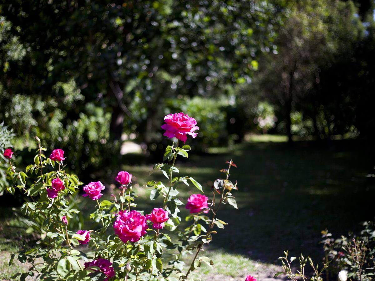 Andelomi Nature'S Rest Stormsrivier Εξωτερικό φωτογραφία