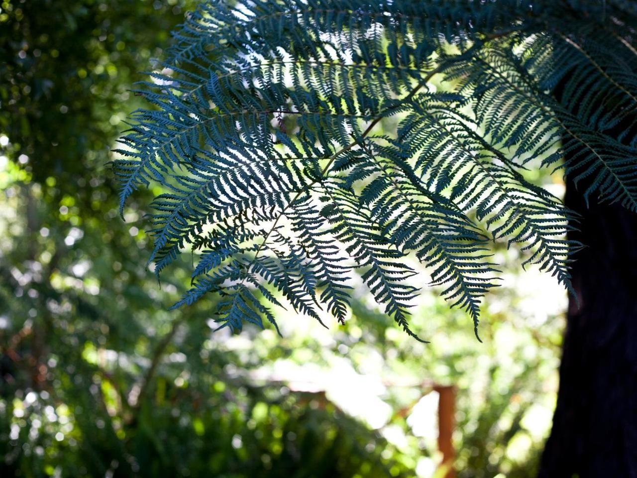 Andelomi Nature'S Rest Stormsrivier Εξωτερικό φωτογραφία